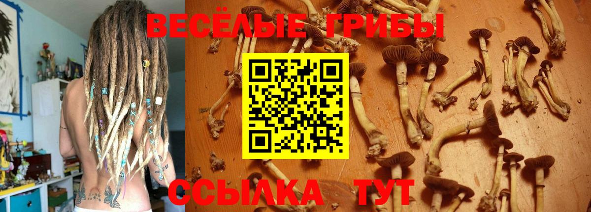 Егорьевск  Галлюциногенные грибы мухоморы  Вход с VPN 